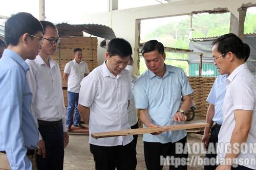 Phát huy quyền làm chủ, khơi dậy sức mạnh của Nhân dân