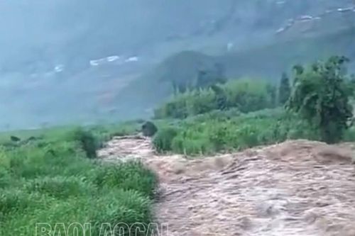 Mưa trên diện rộng bao phủ Sa Pa