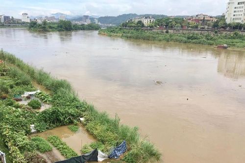 Xuất hiện lũ khá cao đầu mùa trên sông Hồng