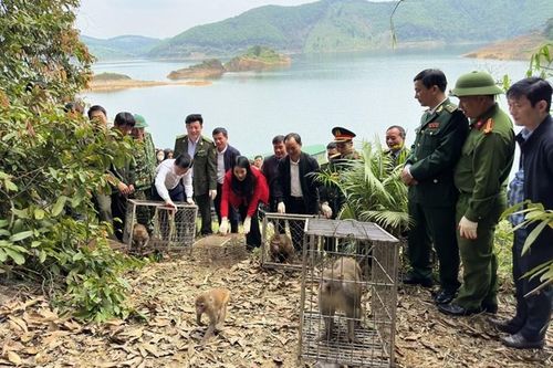 Mạng lưới phóng viên điều tra phòng, chống buôn bán động vật hoang dã