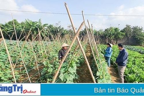 Phấn đấu 72,3% số xã trong tỉnh đạt chuẩn nông thôn mới