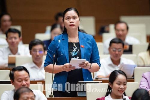 Cử tri quan tâm phiên chất vấn và trả lời chất vấn
