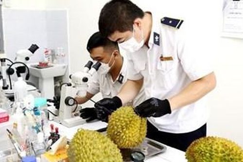 Cứu mạng sống với tiêu chuẩn an toàn thực phẩm