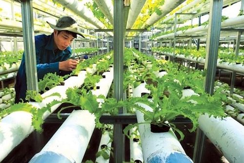 Chọn lĩnh vực ưu tiên để phát triển kinh tế tuần hoàn