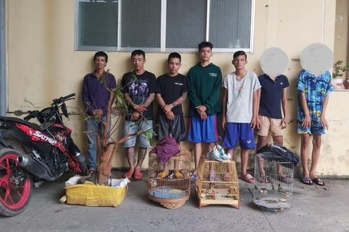 Tây Ninh: Băng nhóm nghiện ma túy gây ra hơn 20 vụ cướp giật và trộm cắp tài sản