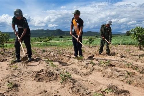 Nhiều chính sách giúp đồng bào dân tộc thiểu số ổn định cuộc sống, vươn lên làm giàu