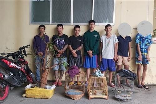 Băng nhóm nghiện ma túy gây ra hơn 20 vụ cướp giật và trộm cắp tài sản