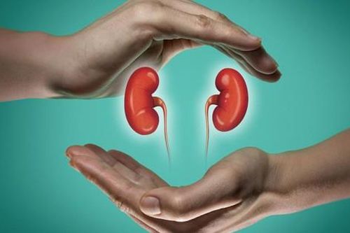 Sỏi thận: Điều trị và thuốc ngăn ngừa tái phát