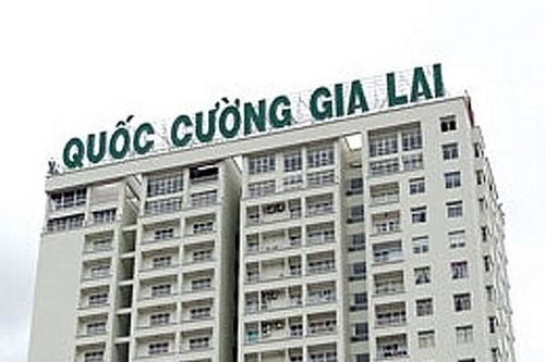 Cổ phiếu QCG của Quốc Cường Gia Lai 'sụt sàn' sau 13 phiên trần liên tiếp