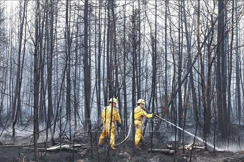 Lính cứu hỏa EU hỗ trợ ứng phó cháy rừng tại Canada