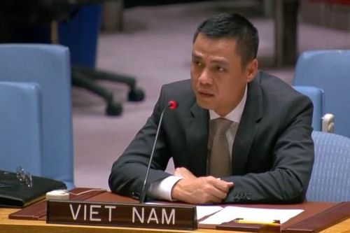 Việt Nam ủng hộ nỗ lực ứng phó với tác động của biến đổi khí hậu đối với hòa bình và an ninh quốc tế
