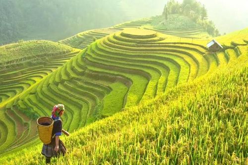 Báo Ấn Độ nói về 'thiên đường hạ giới' ở Việt Nam
