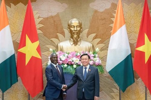 Tăng cường kết nối, hợp tác giữa các doanh nghiệp Việt Nam và Bờ Biển Ngà