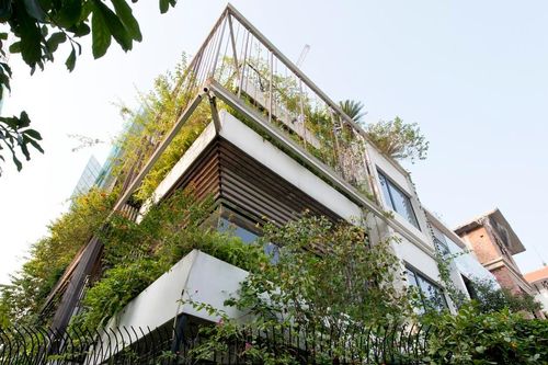 Chiêm ngưỡng ngôi nhà phủ kín cây xanh giữa lòng thủ đô Hà Nội