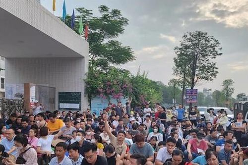 Nộp hồ sơ vào lớp 1 ở Hà Nội: Tái diễn cảnh phụ huynh trắng đêm xếp hàng