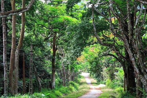 Vườn quốc gia nào của Việt Nam từng lọt top hàng đầu châu Á?