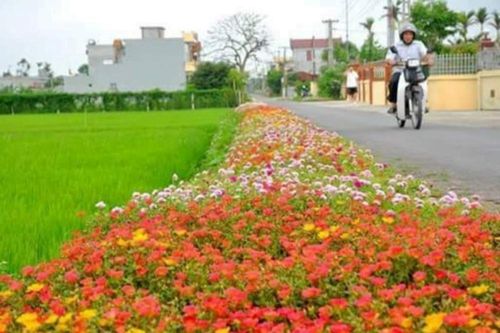Bình yên từ những mô hình tự quản