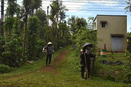 Nhanh chóng an dân sau vụ việc tại Đắk Lắk