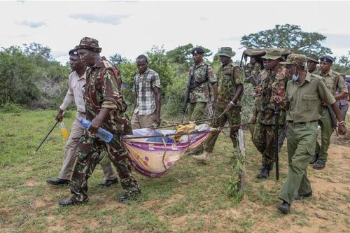 Vụ giáo phái tuyệt thực tại Kenya: Phát hiện thêm 19 thi thể