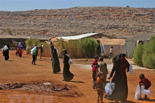 WFP cắt giảm viện trợ lương thực cho Syria do thiếu kinh phí