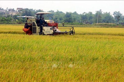 Thêm trụ đỡ cho nông dân phát triển nông nghiệp hiện đại