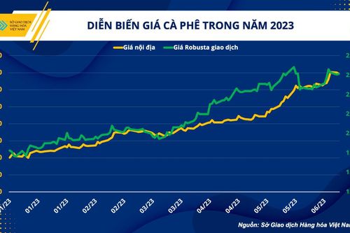 Cà phê Việt: Thách thức vùng giá mới