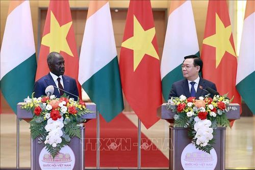 Mở cơ hội hợp tác mới giữa Việt Nam và Bờ Biển Ngà