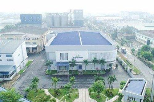 Một cổ phiếu mệnh giá vài nghìn đồng liên tục có mức tăng kịch trần