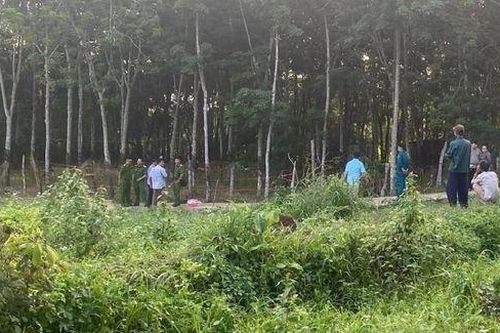 Thông tin mới vụ phát hiện thi thể bé trai trong rừng cao su