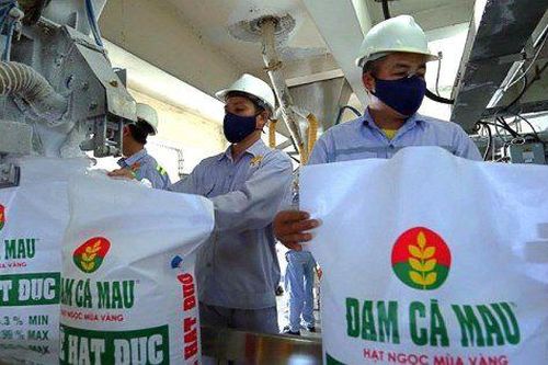Đạm Cà Mau (DCM) ước lãi nửa đầu năm giảm 85%, triển vọng chưa chắc chắn trong nửa cuối năm
