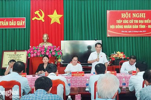 Xử lý nghiêm các trường hợp chăn nuôi gây ô nhiễm môi trường