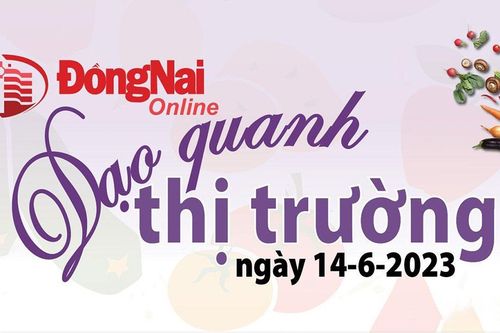 Dạo quanh thị trường ngày 14-6-2023