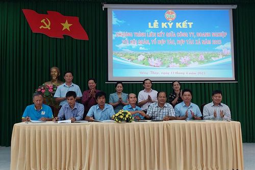 Đẩy mạnh liên kết sản xuất và tiêu thụ nông sản