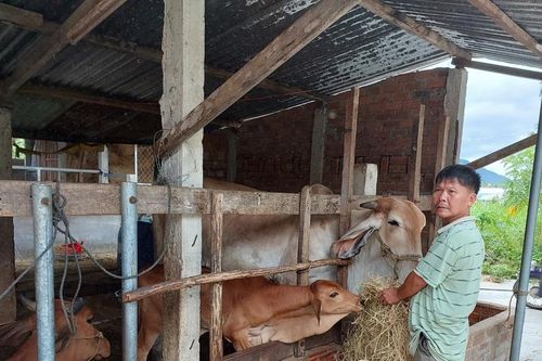 Phường Ngô Mây đẩy mạnh truyền thông về giảm nghèo bền vững