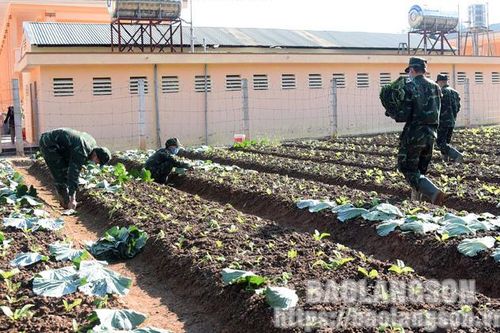 Ngành hậu cần quân đội làm theo lời Bác