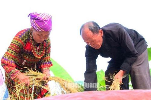 Điểm tựa ở vùng cao