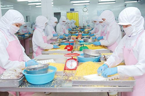 Lãnh đạo CTCP Nông nghiệp Hùng Hậu đồng loạt đăng ký mua vào cổ phiếu SJ1