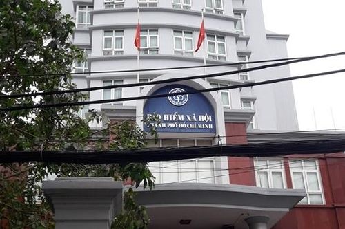 TP Hồ Chí Minh: Thanh, kiểm tra phát hiện 38 tỷ đồng nợ đọng tiền bảo hiểm