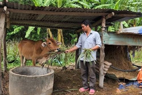 Nguồn vốn chính sách giúp đồng bào dân tộc thiểu số vượt khó, thoát nghèo