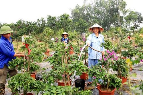 Mở hướng đi cho nông nghiệp sinh thái