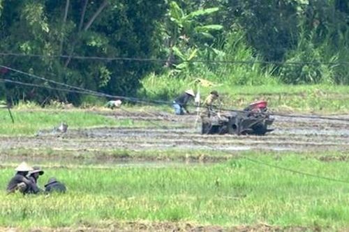 Thêm 1 đối tượng gây mất an ninh, trật tự ở Đắk Lắk ra đầu thú