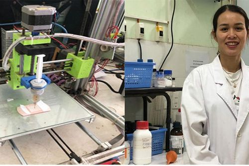Vật liệu cầm máu từ... vảy cá