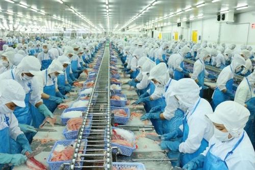 Thua lỗ hàng chục tỷ đồng từ chứng khoán, Vĩnh Hoàn (VHC) tiếp tục trượt dài với kết quả kinh doanh tháng 5