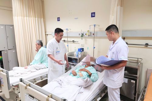 Bị cắn mất một bên tinh hoàn khi đỡ đẻ cho lợn