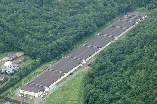 Nhật Bản: Tân binh GSDF bắn chết 2 đồng đội ở trường tập bắn