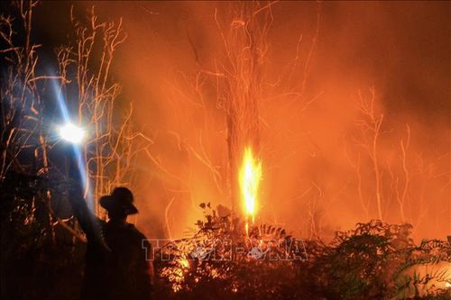 Indonesia sẵn sàng các biện pháp ứng phó với cháy rừng