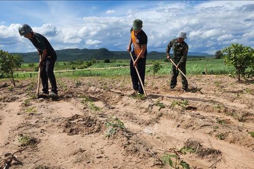 Gia Lai: Nhiều chính sách giúp đồng bào dân tộc thiểu số ổn định cuộc sống