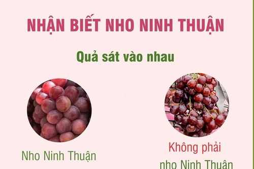 Nhận biết nho Ninh Thuận