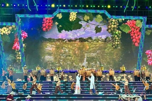 Ninh Thuận tổ chức Lễ hội Nho – Vang năm 2023 với nhiều sự kiện đặc sắc