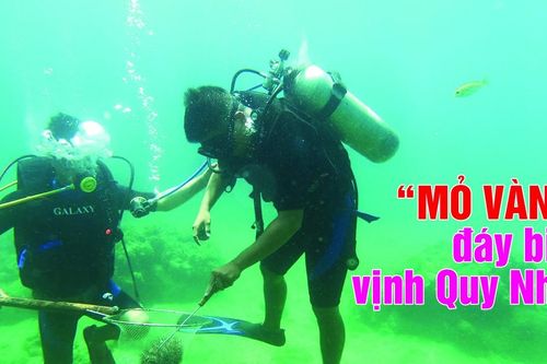 'Mỏ vàng' đáy biển vịnh Quy Nhơn